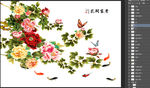 牡丹花