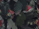 热带花卉