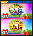 草莓