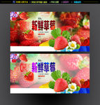 草莓