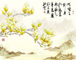玉兰花