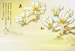 玉兰花开