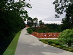 美丽乡村道路绿化效果图五