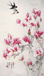玉兰花壁纸 比翼鸟