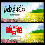 油菜花