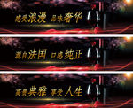 法国红酒海报