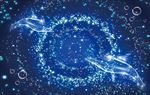 梦幻星辰海豚吊顶