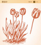 素描花朵矢量图