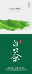 茶
