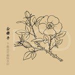 金樱子