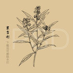 农吉利