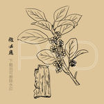 救必应