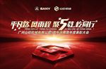 三一五周年庆典