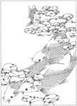 鱼 线描 素描 白描 国画