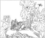 猫咪 素描 线描 白描 国画