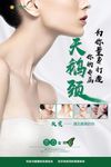 美女 海报