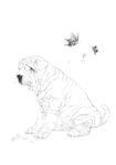 宠物名犬狗 白描 素描 线描