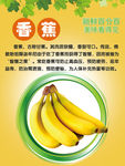 新鲜香蕉海报