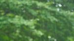 下雨