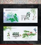 荷花文化展板