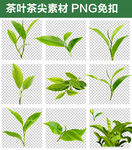 茶叶茶尖素材png格式
