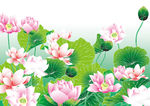 矢量荷花背景墙