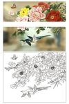 牡丹鸟