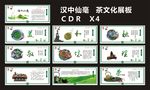 汉中仙毫