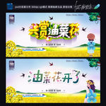 油菜花节
