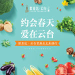 蔬菜采摘