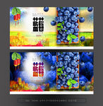 蓝莓