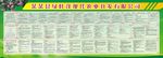 现代农业开发有限公司