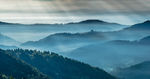 山坡风景
