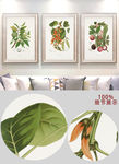 欧式现代植物果实叶子装饰画