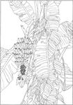 芭蕉 线描 素描 白描 中国画