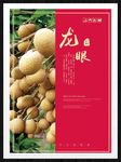 龙眼