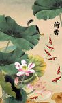 玄关荷花