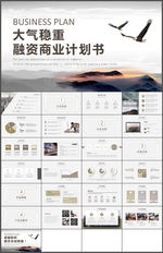 融资商业计划书PPT