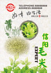 信阳毛尖 海报 茶 叶 茶道