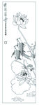 连年有余