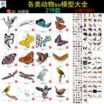 各类动物模型