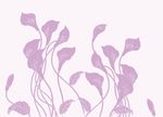 马蹄莲  花  硅藻泥图案