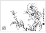 梨花线描 梨花白描 梨花素描