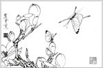 玉兰花线描 玉兰花白描 玉兰花