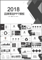 品牌策划PPT