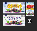 桑葚