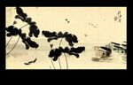 国画荷花