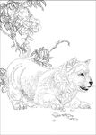 名犬线描 名犬白描 名犬素描