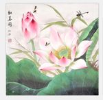 手绘工笔花鸟荷花和美图装饰画