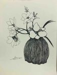 花绘素描  花插图